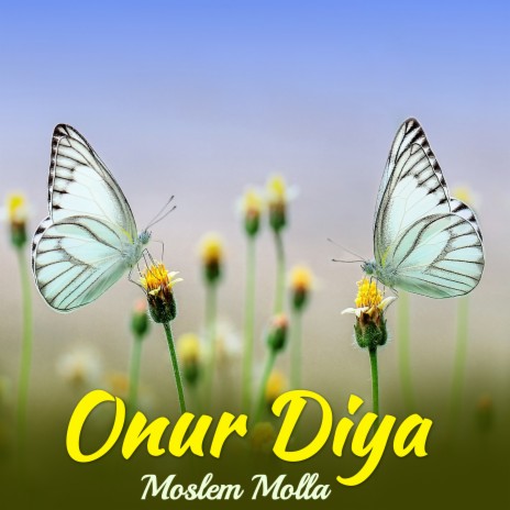 Onur Diya | Boomplay Music