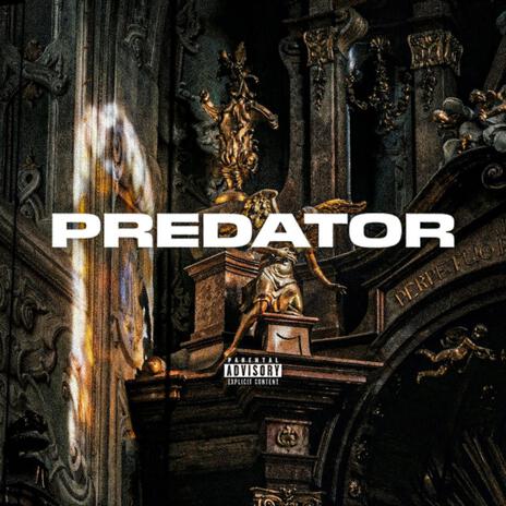 Predator | Boomplay Music