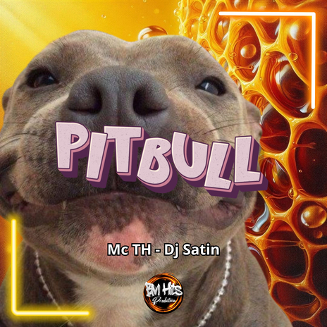 Pitbull ft. DJ Satin & BM Hits Produtora | Boomplay Music