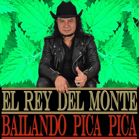 Bailando Pica Pica | Boomplay Music