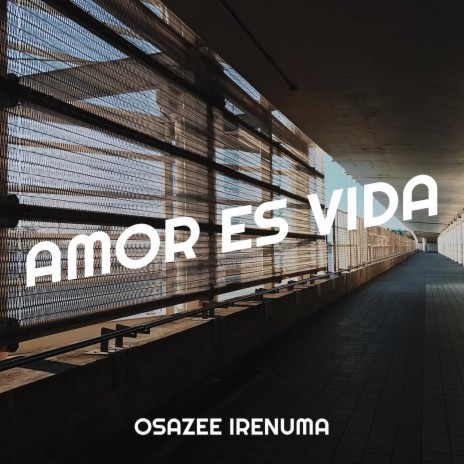 Amor Es Vida | Boomplay Music