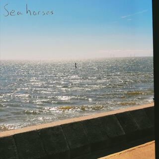 Seahorses lyrics | Boomplay Music