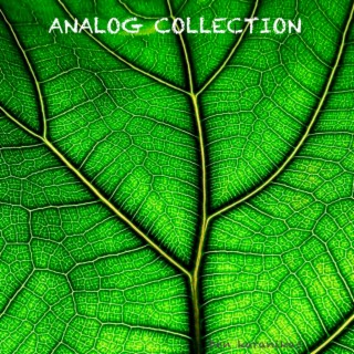 Analog Collection