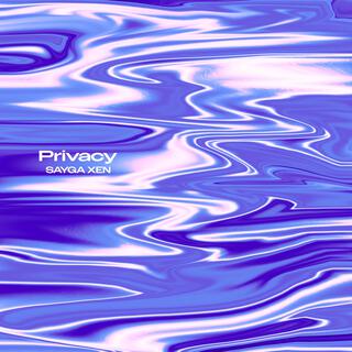 Privacy lyrics | Boomplay Music