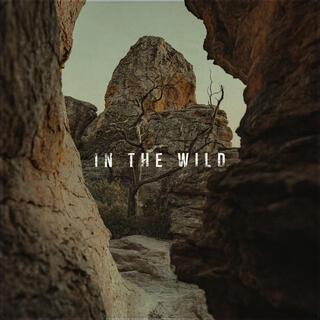 in the Wild ft. KRL lyrics | Boomplay Music