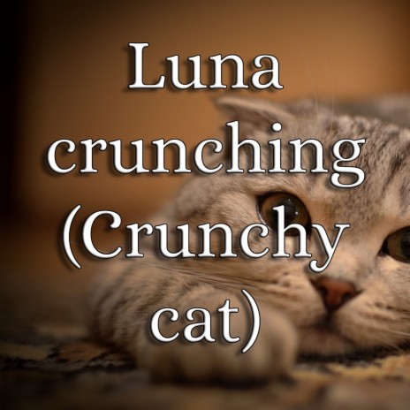 Luna Crunching (Crunchy Cat) [Slow Version]