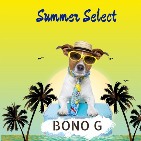 Summer Select | Boomplay Music