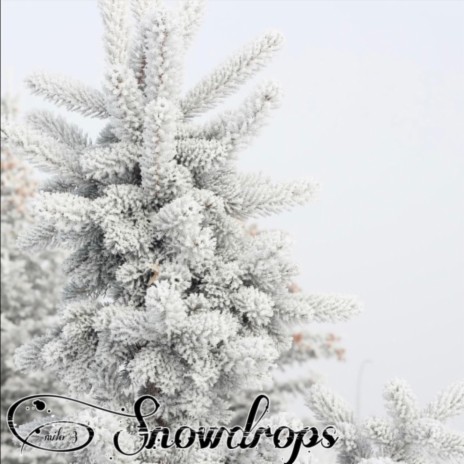 Snowdrops | Boomplay Music