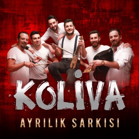 Ayrılık Şarkısı (Akustik) | Boomplay Music