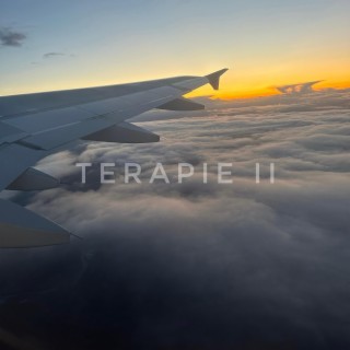 Terapie II