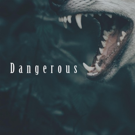 Dangerous | Boomplay Music