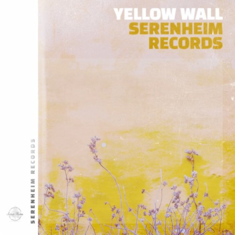 Yellow Wall | Boomplay Music