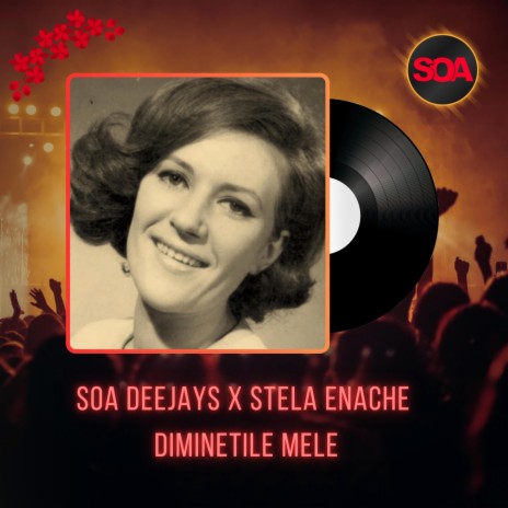 Diminetile Mele (Radio Edit) ft. Stela Enache | Boomplay Music