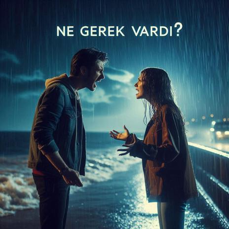 Ne Gerek Vardı? | Boomplay Music