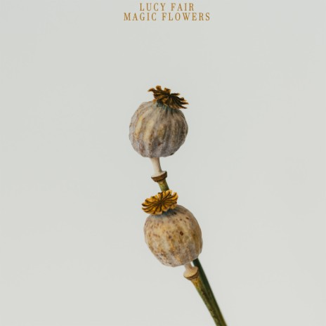 Magic Flowers | Boomplay Music