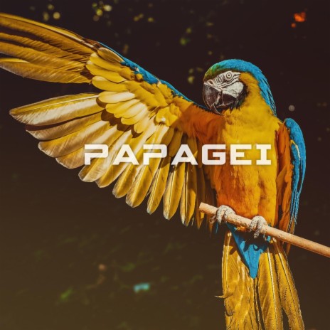 Papagei | Boomplay Music