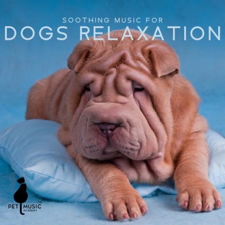 Relax With Your Dog | Boomplay Music