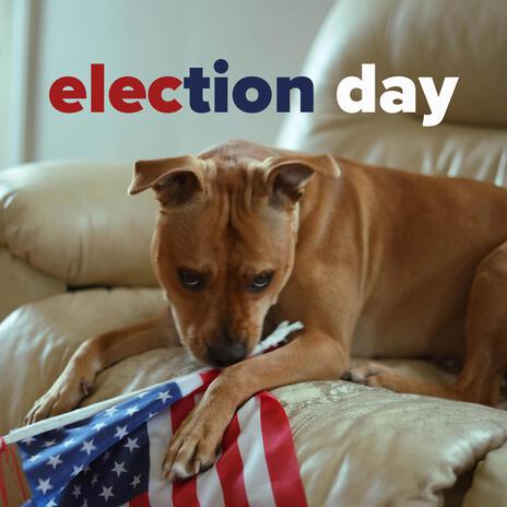 election day | Boomplay Music