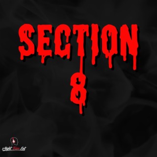 Section 8