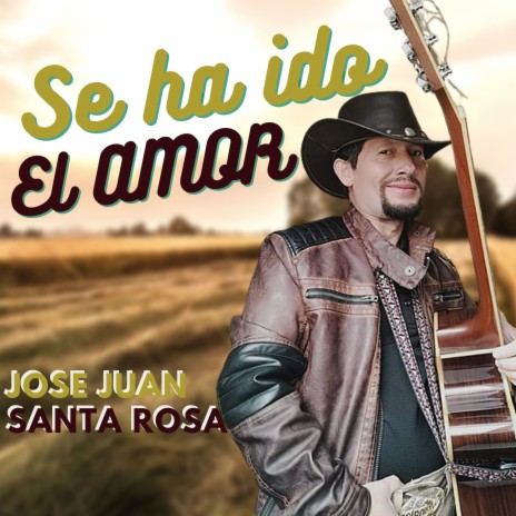 SE HA IDO EL AMOR | Boomplay Music