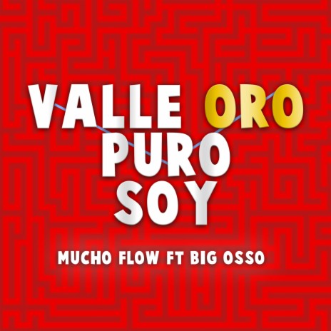 VALLE ORO PURO SOY ft. BIG OSSO | Boomplay Music