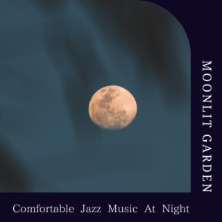 Comfortable Jazz Music at Night