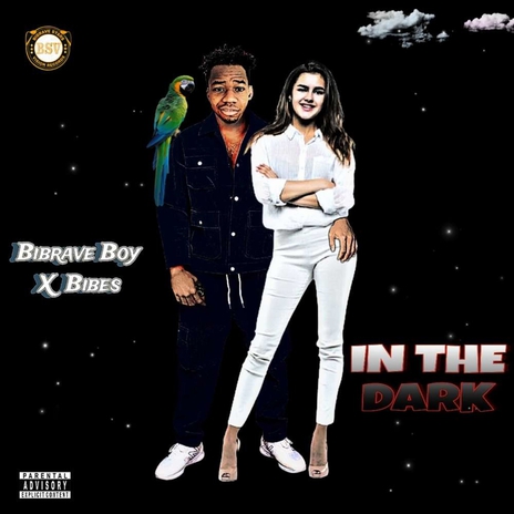 In The Dark ft. Bibes | Boomplay Music