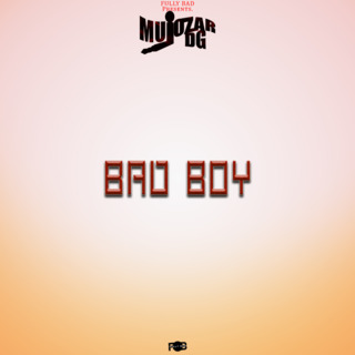 Bad Boy