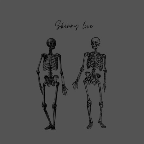 Skinny love | Boomplay Music