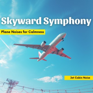 Skyward Symphony: Plane Noises for Calmness