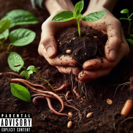 Planting Seeds | Boomplay Music