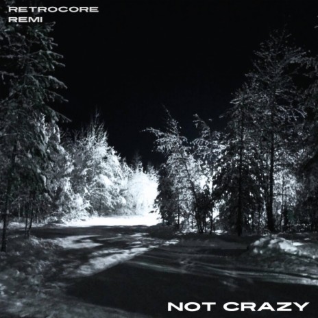 NOT CRAZY ft. remi | Boomplay Music