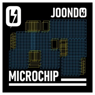 MICROCHIP