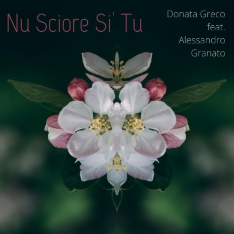 Nu Sciore Si' Tu ft. Alessandro Granato | Boomplay Music