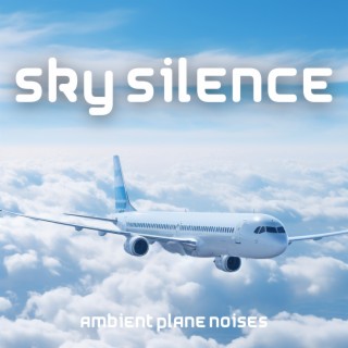 Sky Silence: Ambient Plane Noises