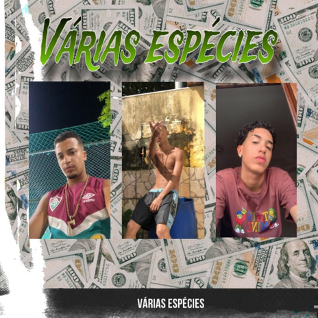 Várias espécies ft. Ogbreninn | Boomplay Music