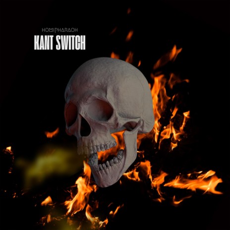 Kant switch | Boomplay Music