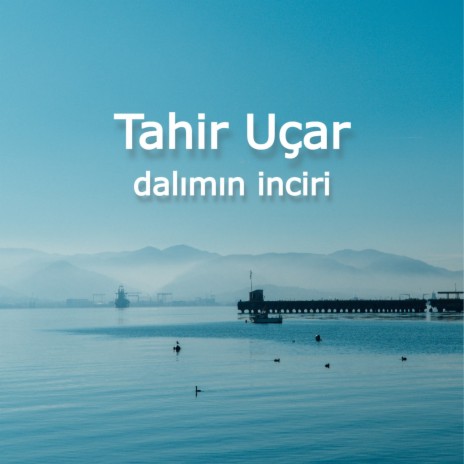 Dalımın İnciri | Boomplay Music