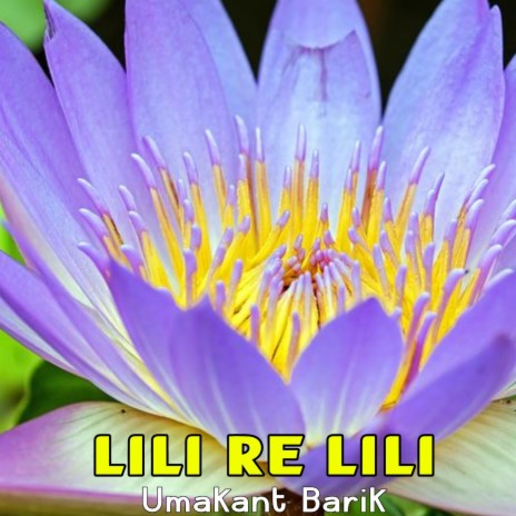 Lili Re Lili