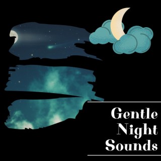 Gentle Night Sounds for Sleep and Relaxation