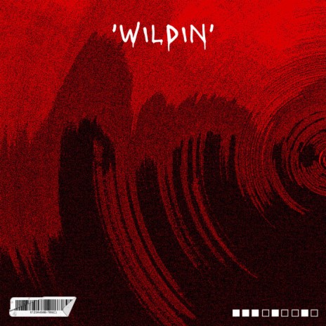 WILDING ft. 24 DYNASY MUSIC & AGENT 4TY7 | Boomplay Music