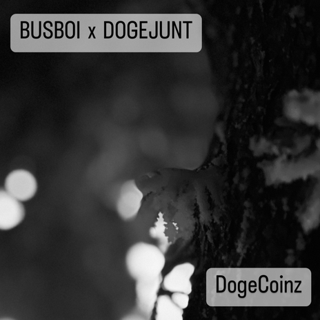 DogeCoinz ft. DOGEJUNT | Boomplay Music