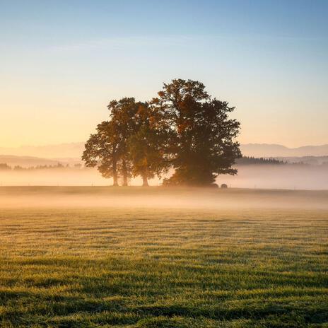 The Steadfast Love of the Lord | Boomplay Music