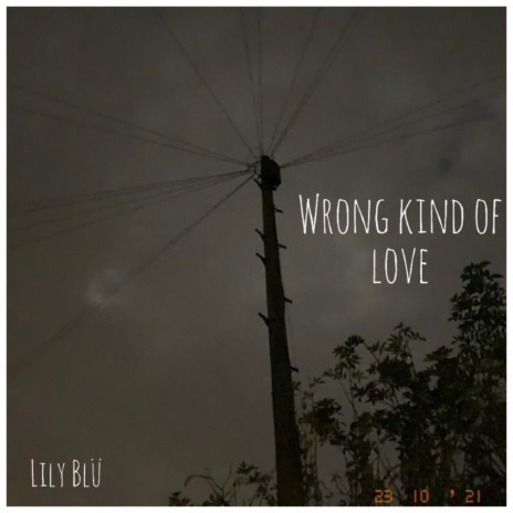 Wrong Kind of Love | Boomplay Music