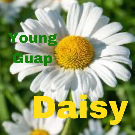 Daisy | Boomplay Music