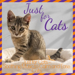 Just for Cats - Soothing Music to Calm and Ease Cats