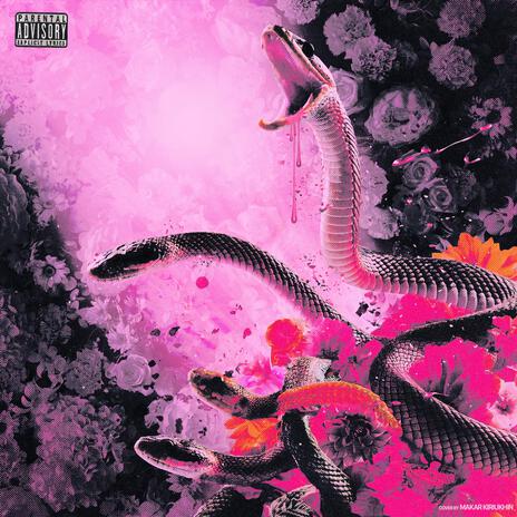 Omin Snakes | Boomplay Music