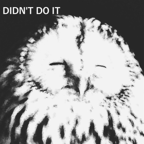 DIDN'T DO IT | Boomplay Music