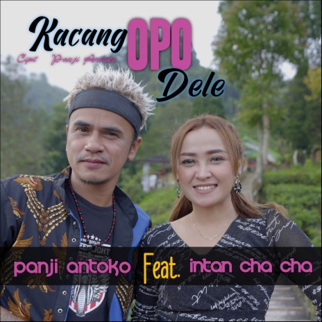 Kacang Opo Dele ft. Intan Cha Cha | Boomplay Music