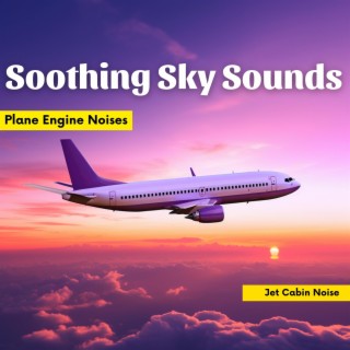 Soothing Sky Sounds: Plane Engine Noises